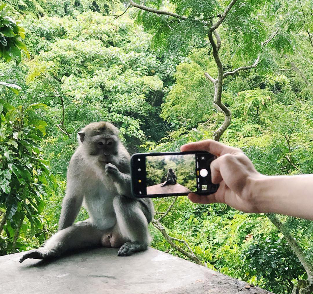 <p>Mysterious Ubud</p>